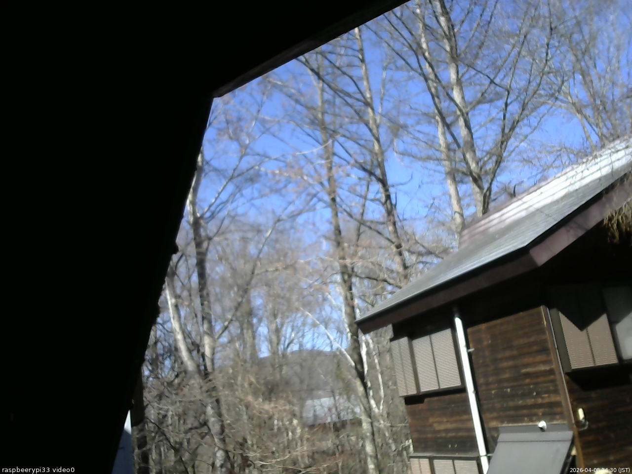 長野県菅平高原 ゆたか山荘 北側 2026/04/08 14:30