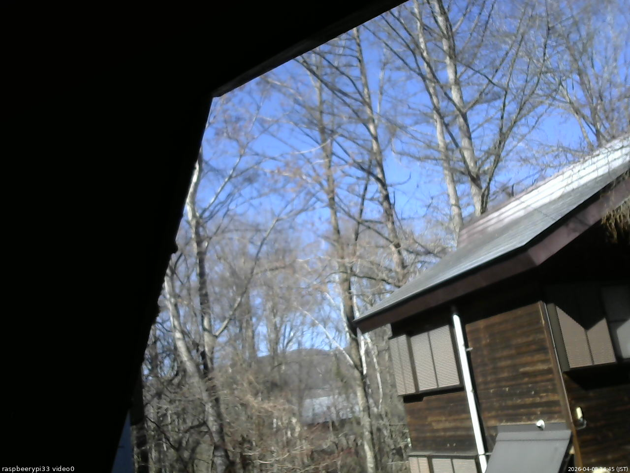 長野県菅平高原 ゆたか山荘 北側 2026/04/08 14:45