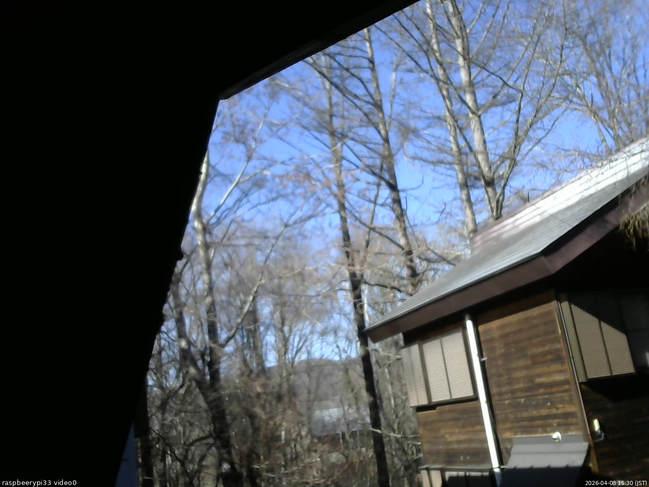 長野県菅平高原 ゆたか山荘 北側 2026/04/08 15:30