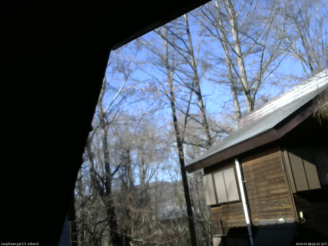 長野県菅平高原 ゆたか山荘 北側 2026/04/08 15:45