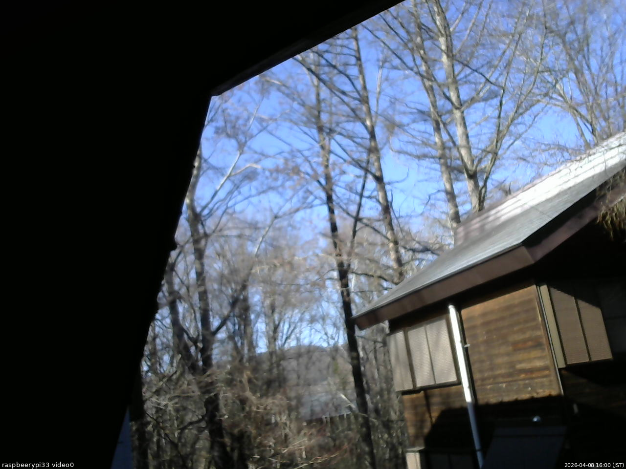 長野県菅平高原 ゆたか山荘 北側 2026/04/08 16:00