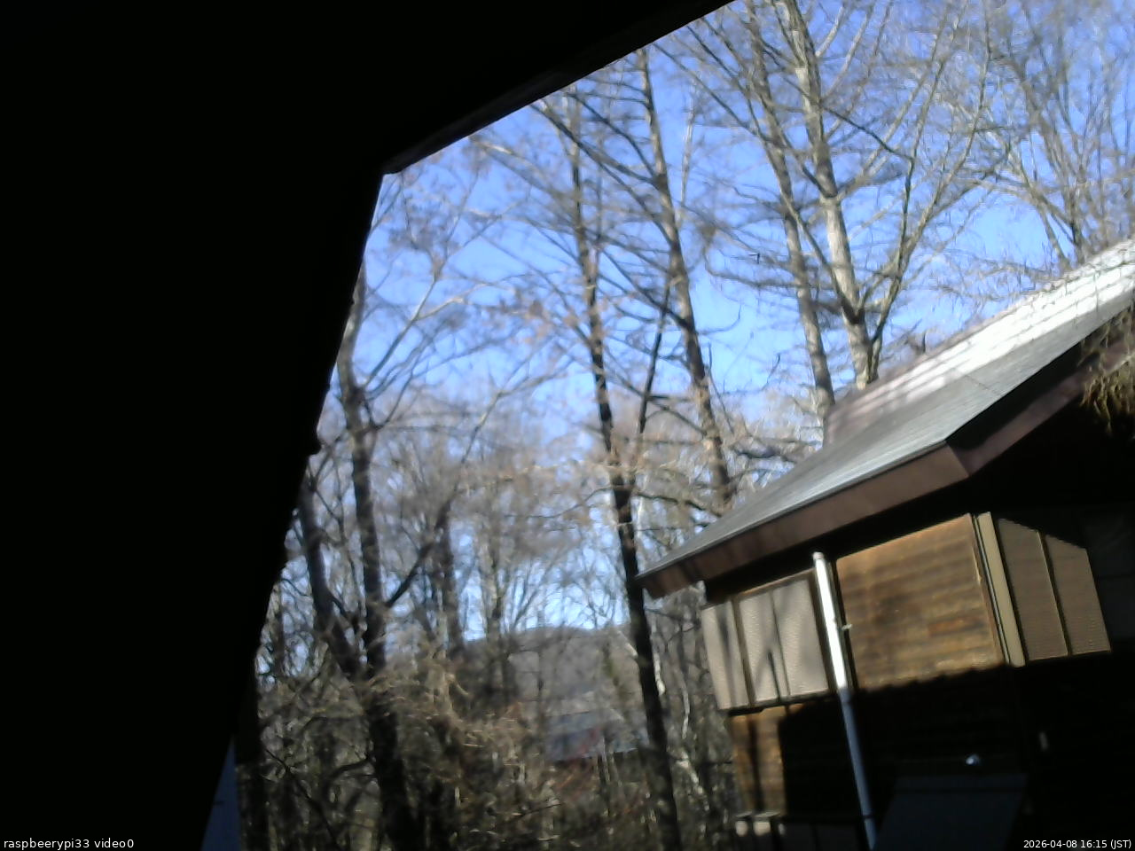 長野県菅平高原 ゆたか山荘 北側 2026/04/08 16:15