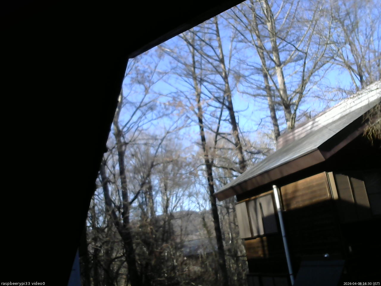 長野県菅平高原 ゆたか山荘 北側 2026/04/08 16:30