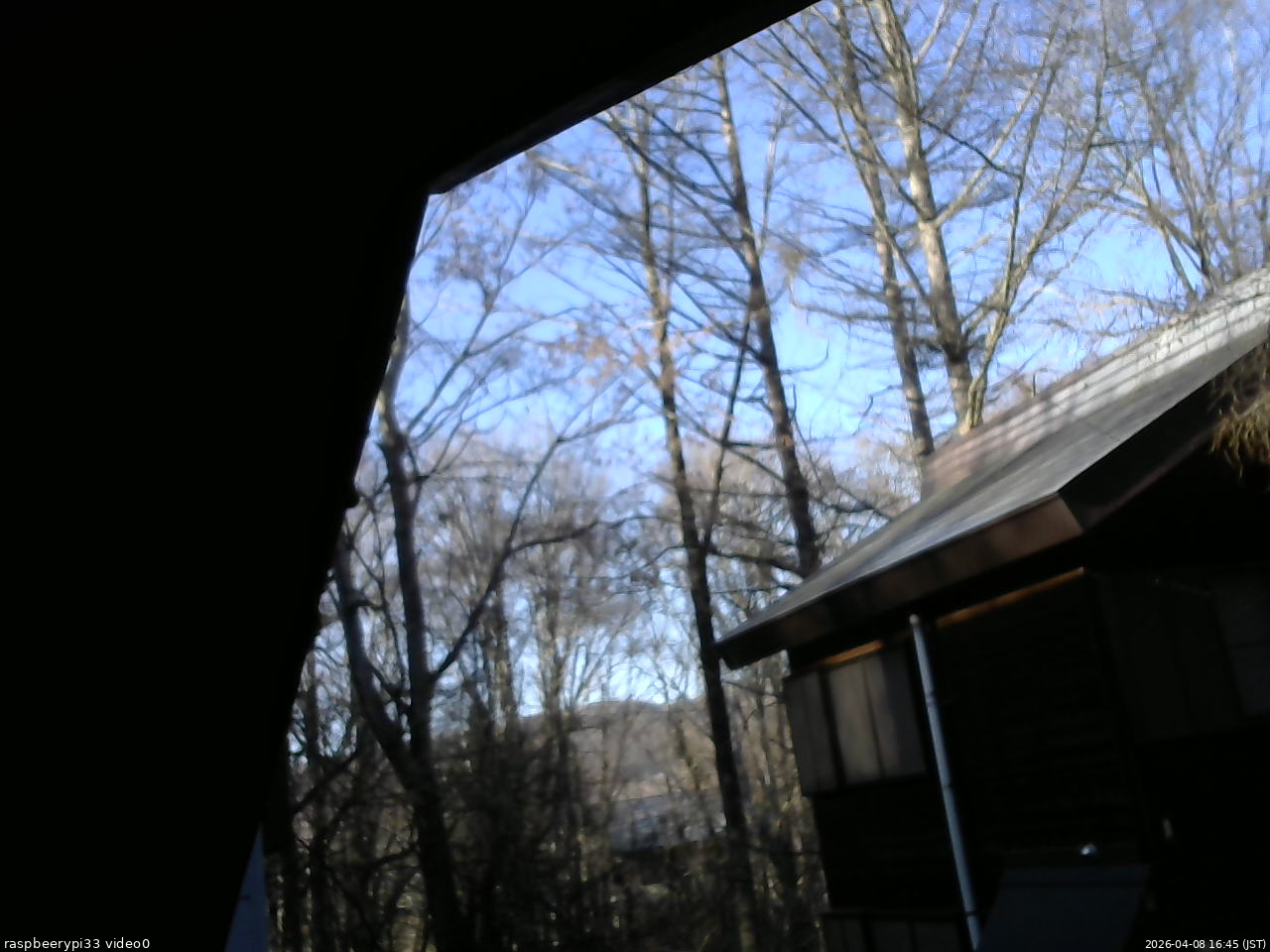 長野県菅平高原 ゆたか山荘 北側 2026/04/08 16:45