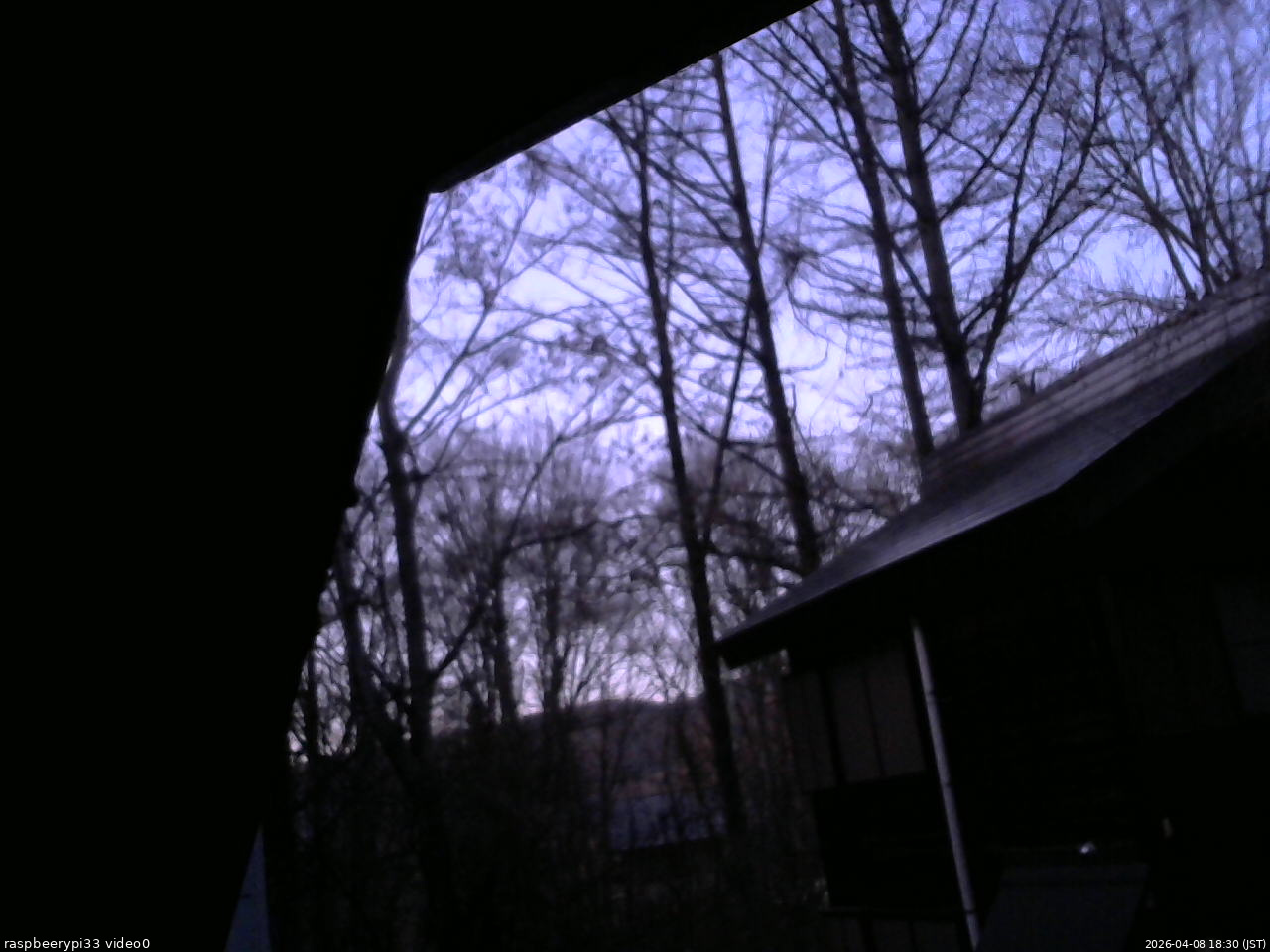 長野県菅平高原 ゆたか山荘 北側 2026/04/08 18:30