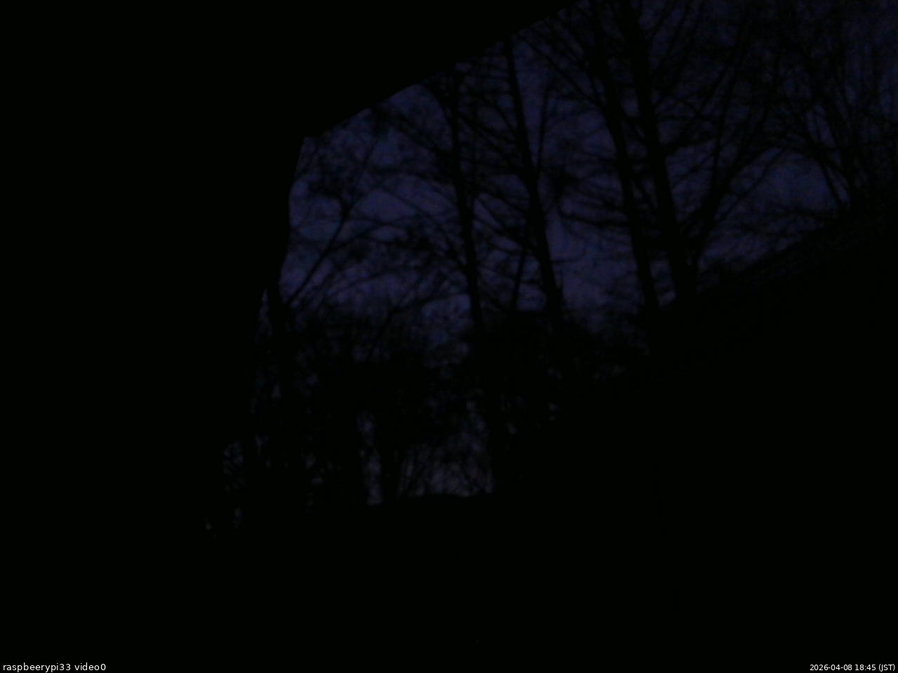 長野県菅平高原 ゆたか山荘 北側 2026/04/08 18:45