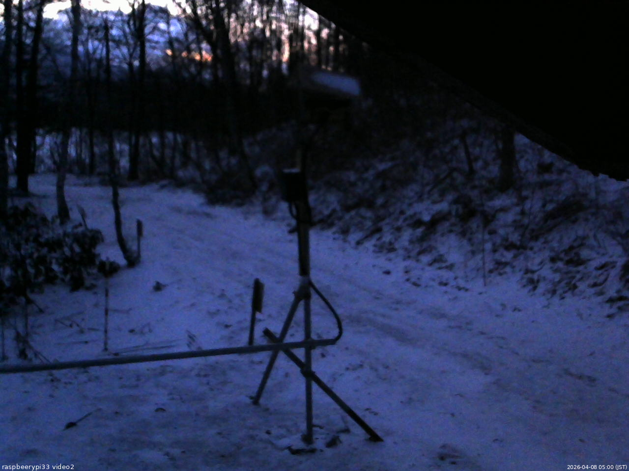 長野県菅平高原 ゆたか山荘 南側 2026/04/08 05:00