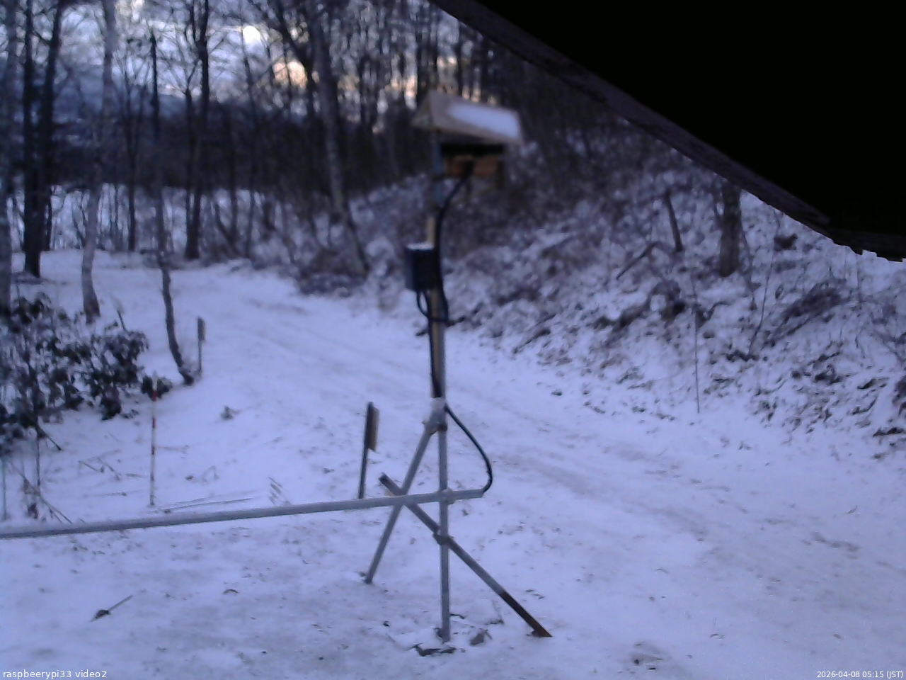 長野県菅平高原 ゆたか山荘 南側 2026/04/08 05:15