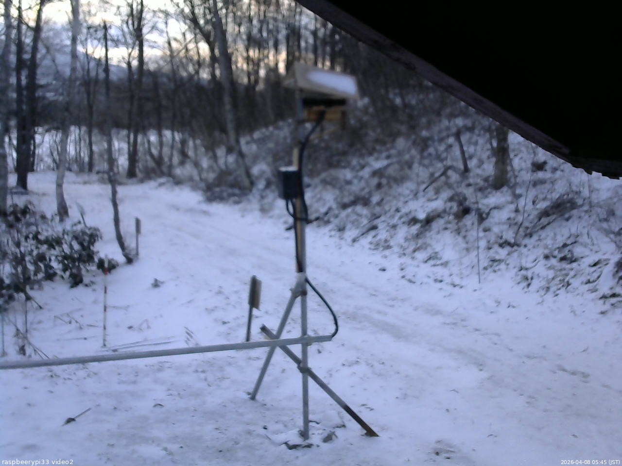 長野県菅平高原 ゆたか山荘 南側 2026/04/08 05:45