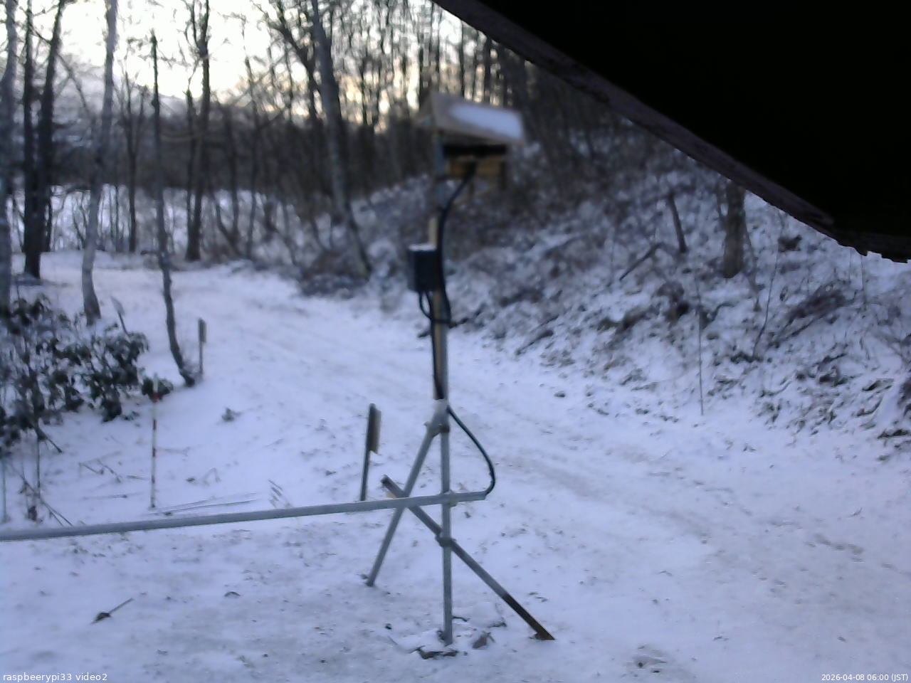 長野県菅平高原 ゆたか山荘 南側 2026/04/08 06:00