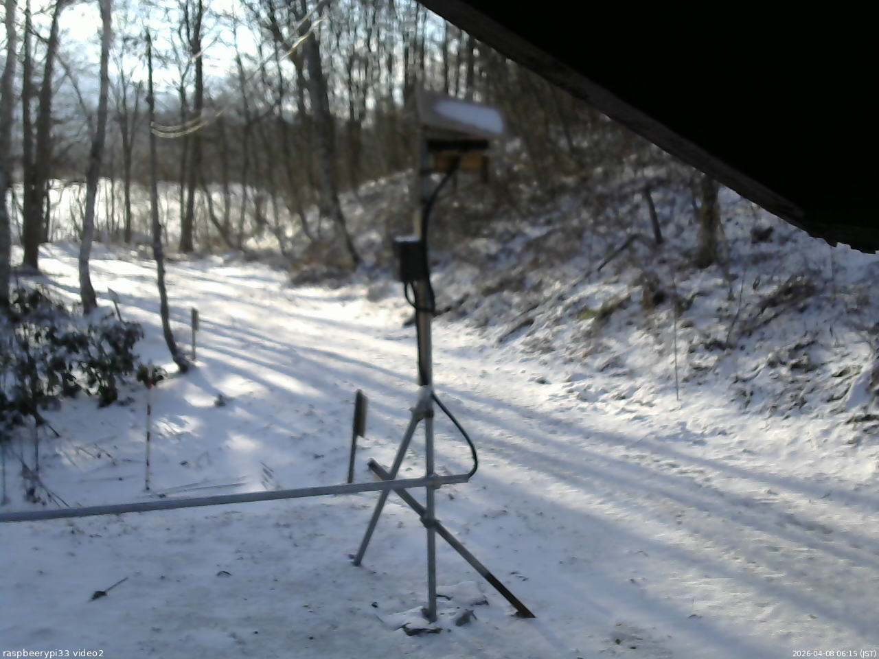 長野県菅平高原 ゆたか山荘 南側 2026/04/08 06:15