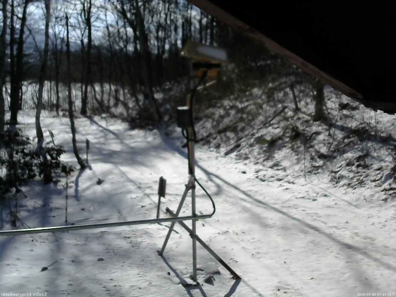 長野県菅平高原 ゆたか山荘 南側 2026/04/08 07:45