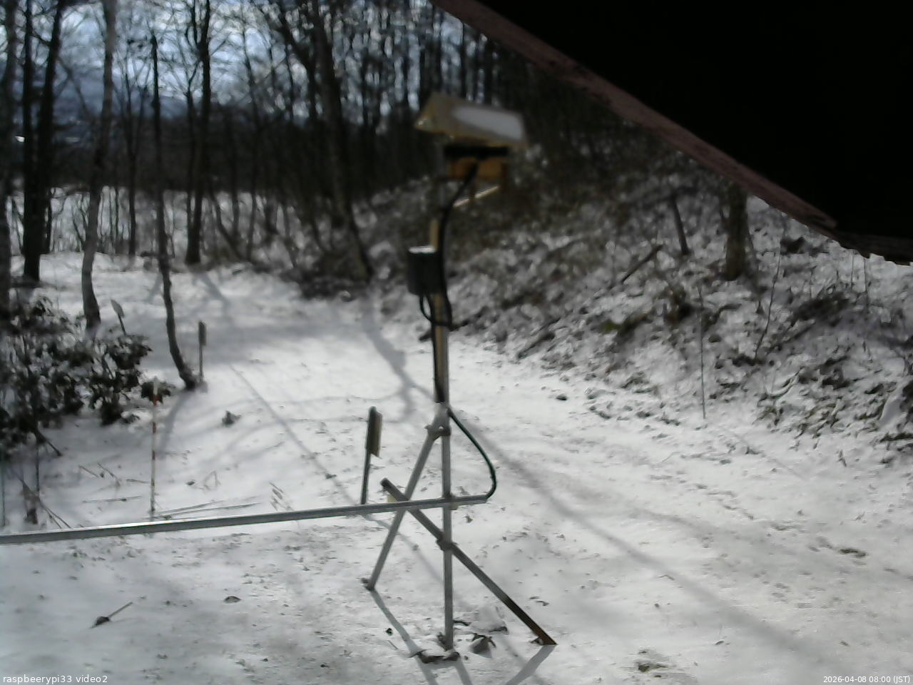長野県菅平高原 ゆたか山荘 南側 2026/04/08 08:00