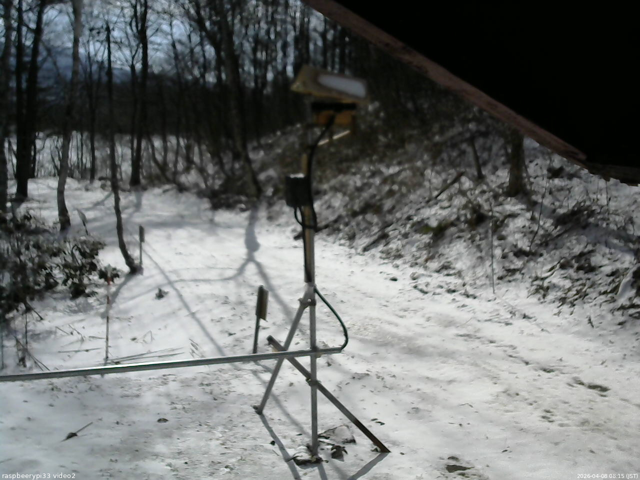 長野県菅平高原 ゆたか山荘 南側 2026/04/08 08:15