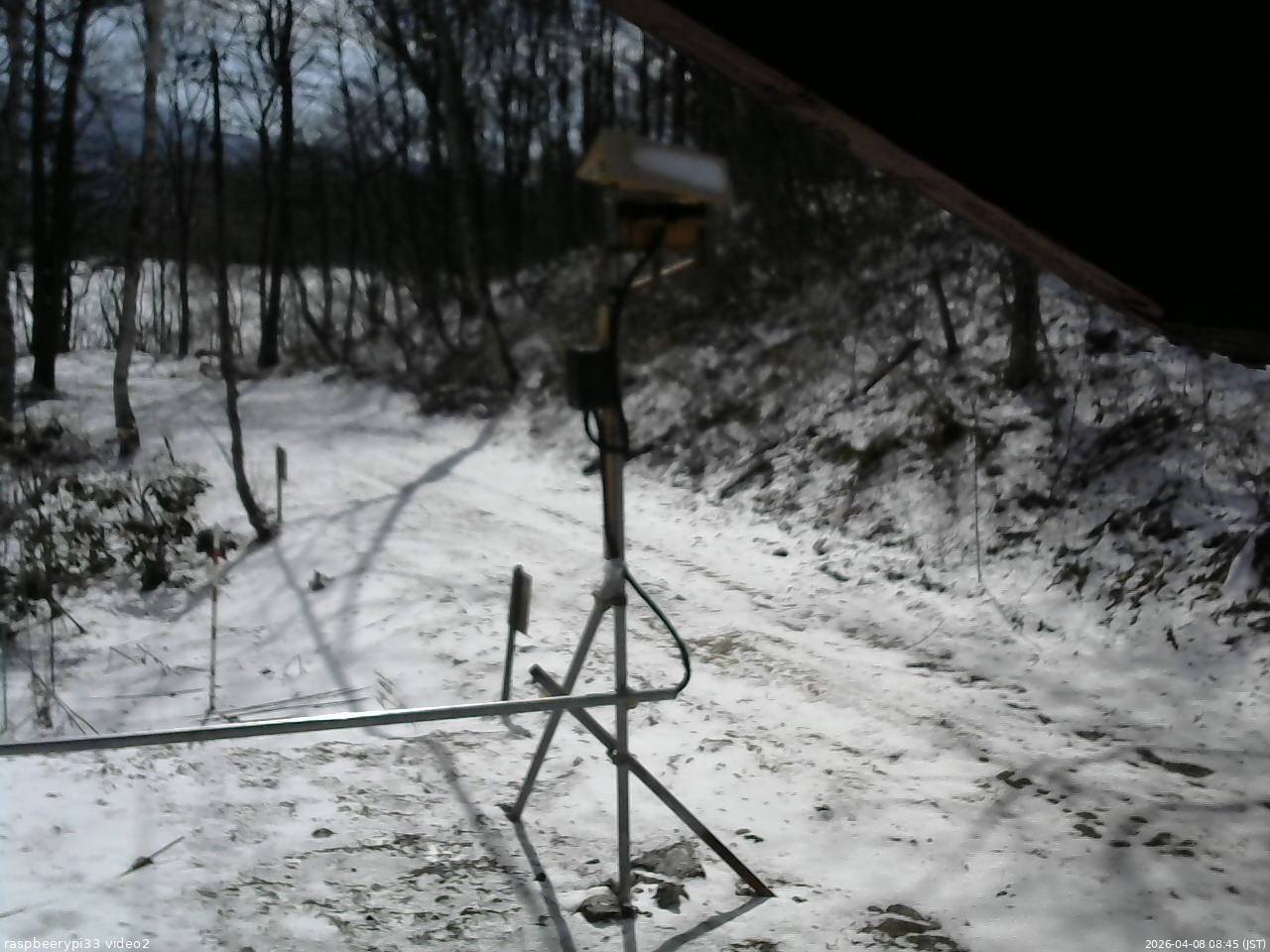 長野県菅平高原 ゆたか山荘 南側 2026/04/08 08:45