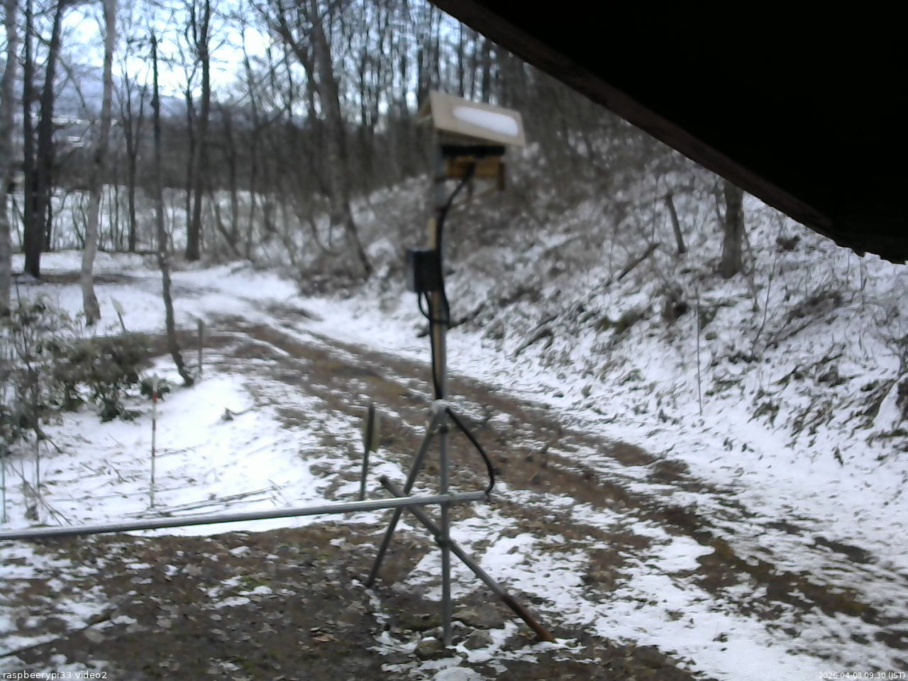 長野県菅平高原 ゆたか山荘 南側 2026/04/08 09:30