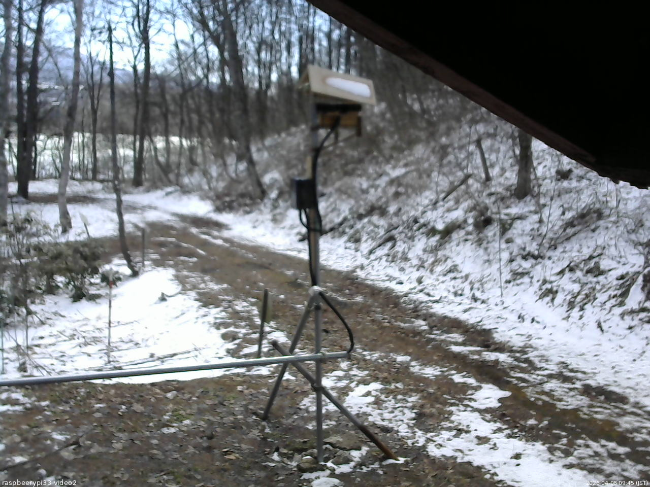 長野県菅平高原 ゆたか山荘 南側 2026/04/08 09:45