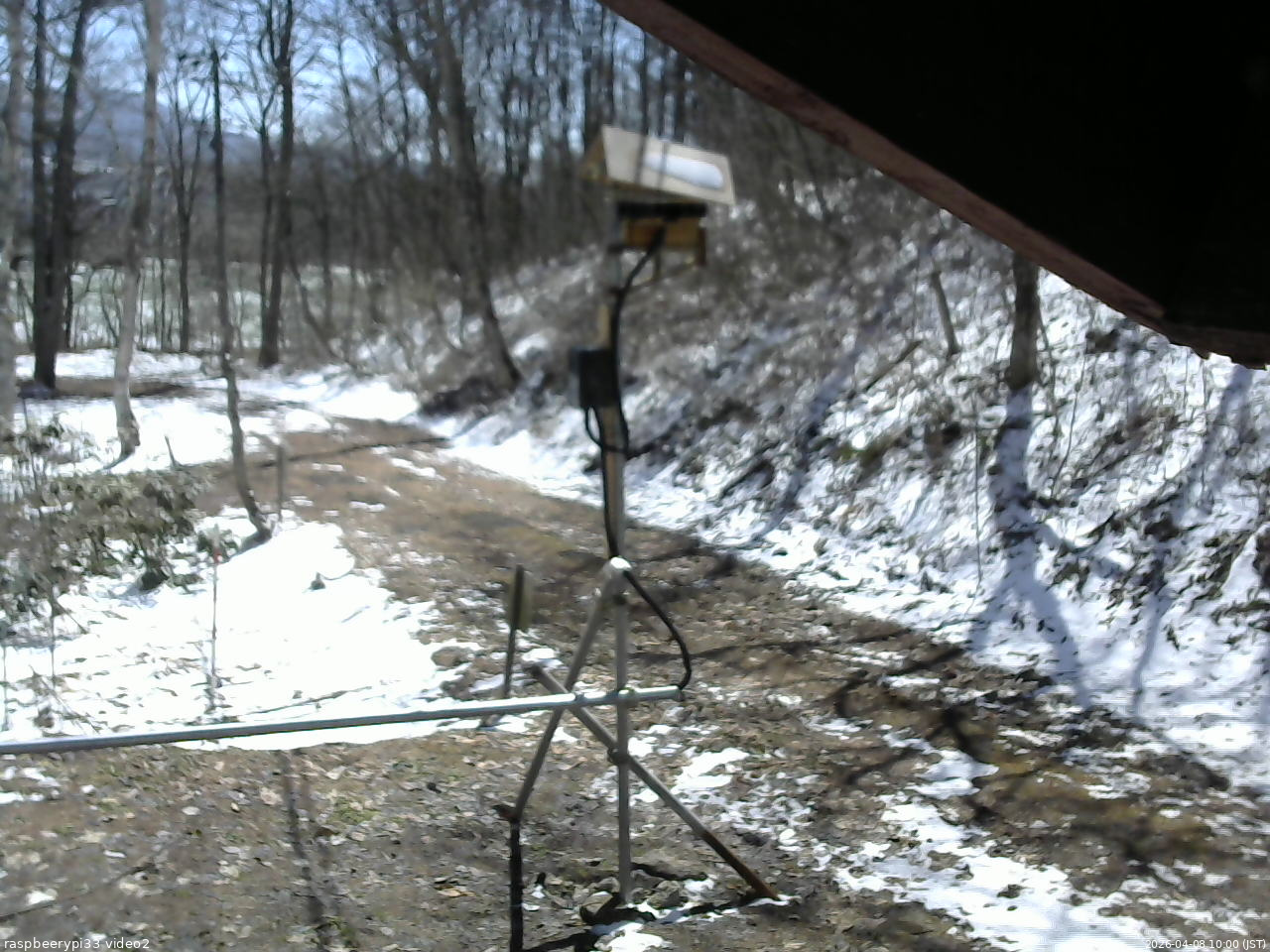 長野県菅平高原 ゆたか山荘 南側 2026/04/08 10:00