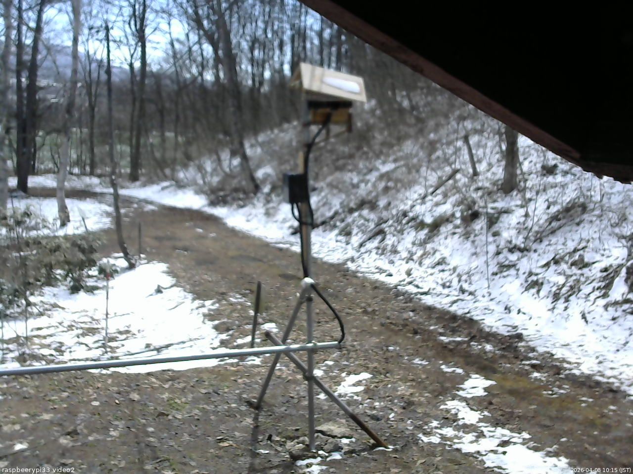 長野県菅平高原 ゆたか山荘 南側 2026/04/08 10:15