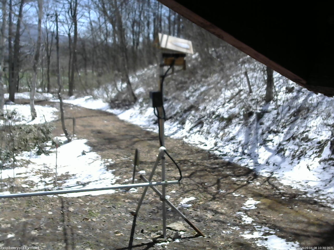 長野県菅平高原 ゆたか山荘 南側 2026/04/08 10:30