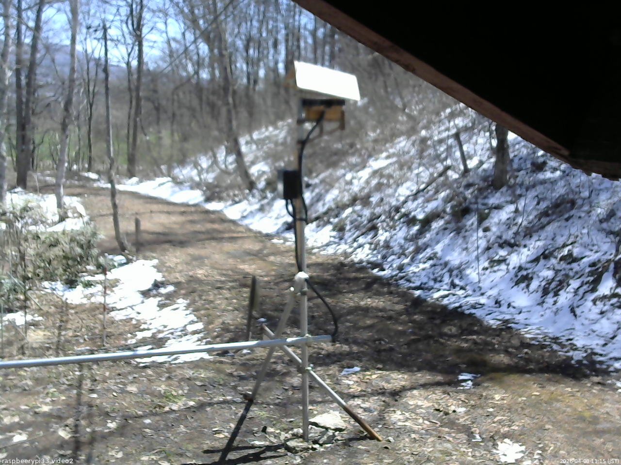 長野県菅平高原 ゆたか山荘 南側 2026/04/08 11:15