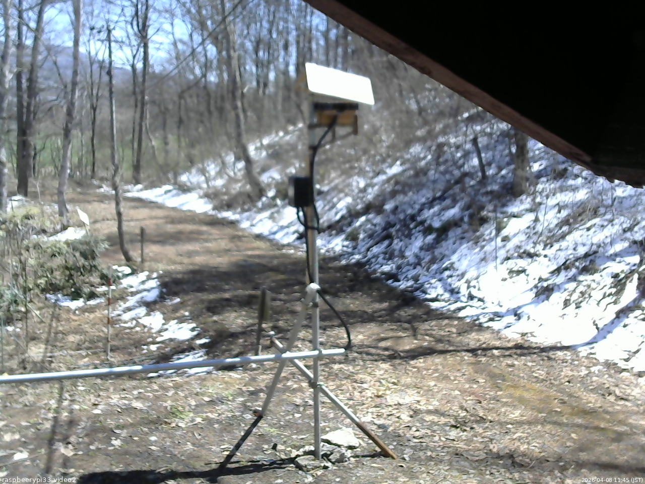 長野県菅平高原 ゆたか山荘 南側 2026/04/08 11:45