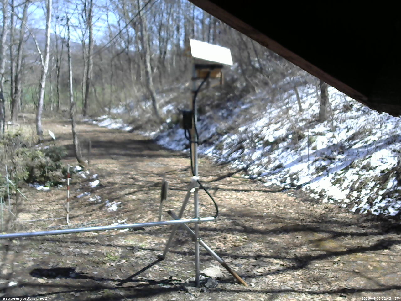 長野県菅平高原 ゆたか山荘 南側 2026/04/08 12:45