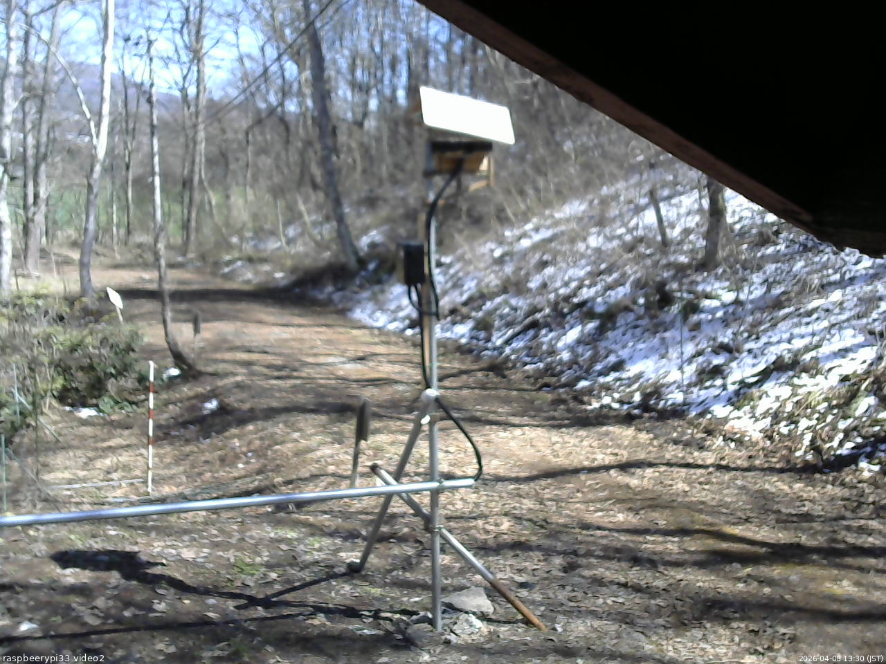 長野県菅平高原 ゆたか山荘 南側 2026/04/08 13:30