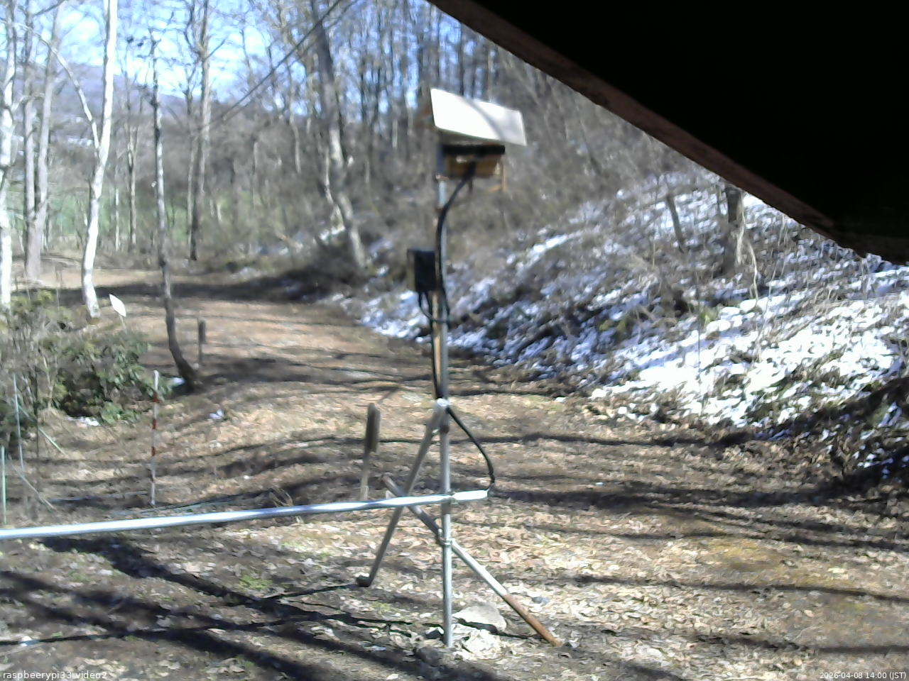 長野県菅平高原 ゆたか山荘 南側 2026/04/08 14:00