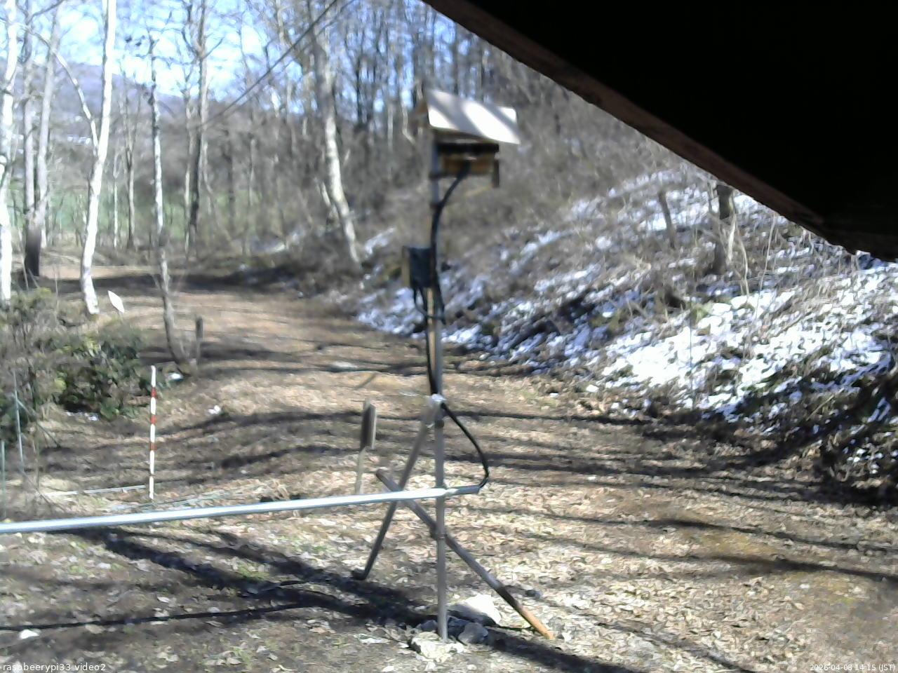 長野県菅平高原 ゆたか山荘 南側 2026/04/08 14:15