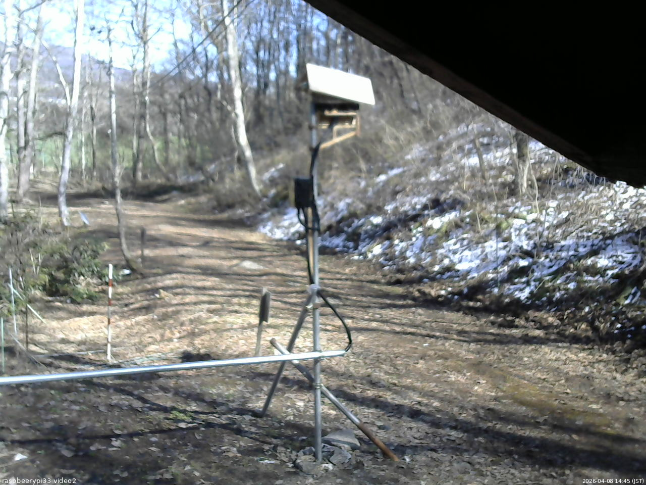 長野県菅平高原 ゆたか山荘 南側 2026/04/08 14:45
