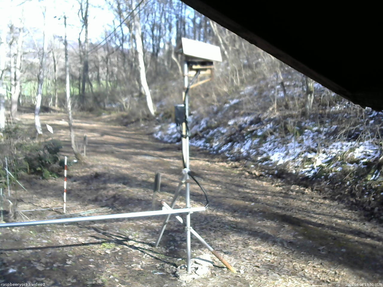 長野県菅平高原 ゆたか山荘 南側 2026/04/08 15:30