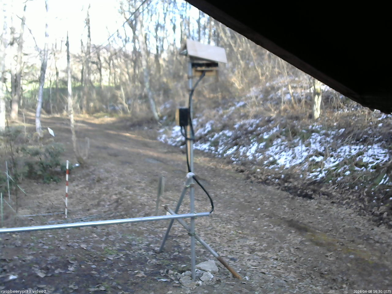 長野県菅平高原 ゆたか山荘 南側 2026/04/08 16:30