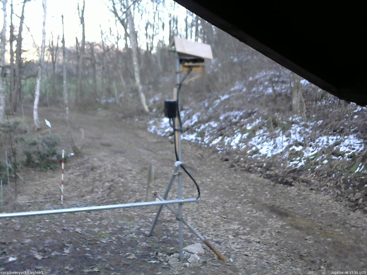 長野県菅平高原 ゆたか山荘 南側 2026/04/08 17:30
