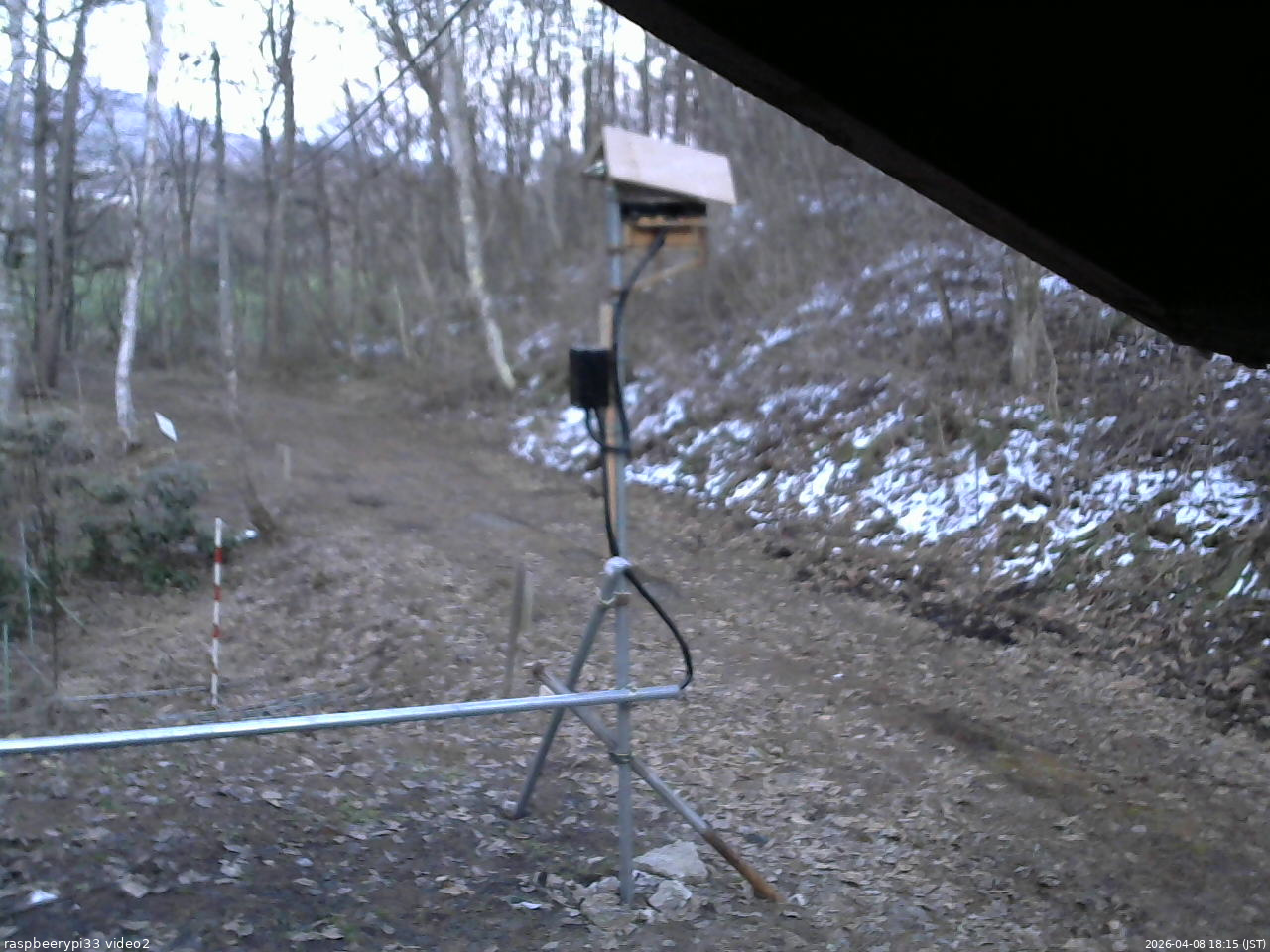 長野県菅平高原 ゆたか山荘 南側 2026/04/08 18:15