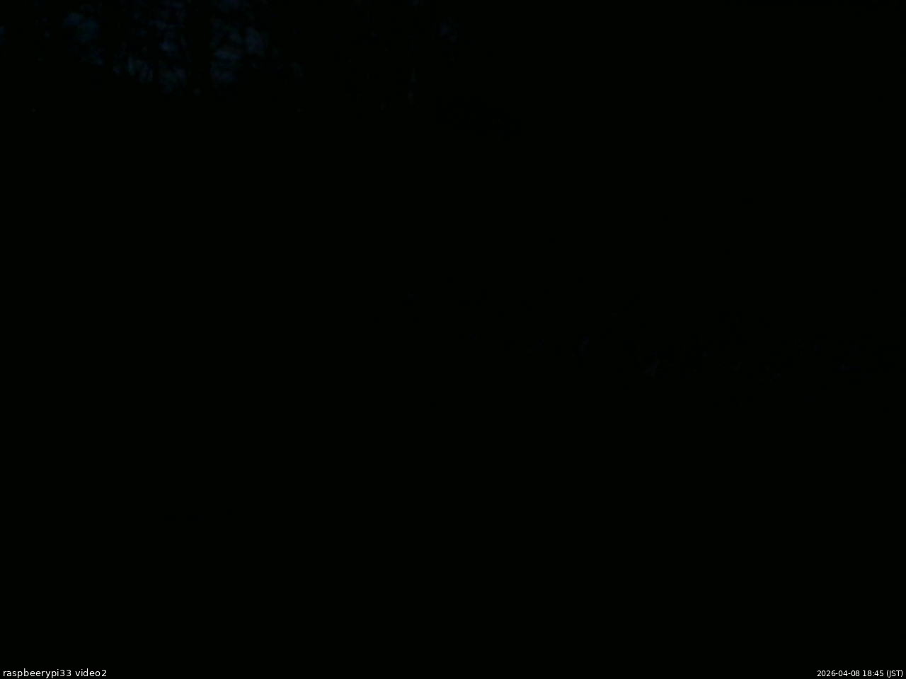 長野県菅平高原 ゆたか山荘 南側 2026/04/08 18:45