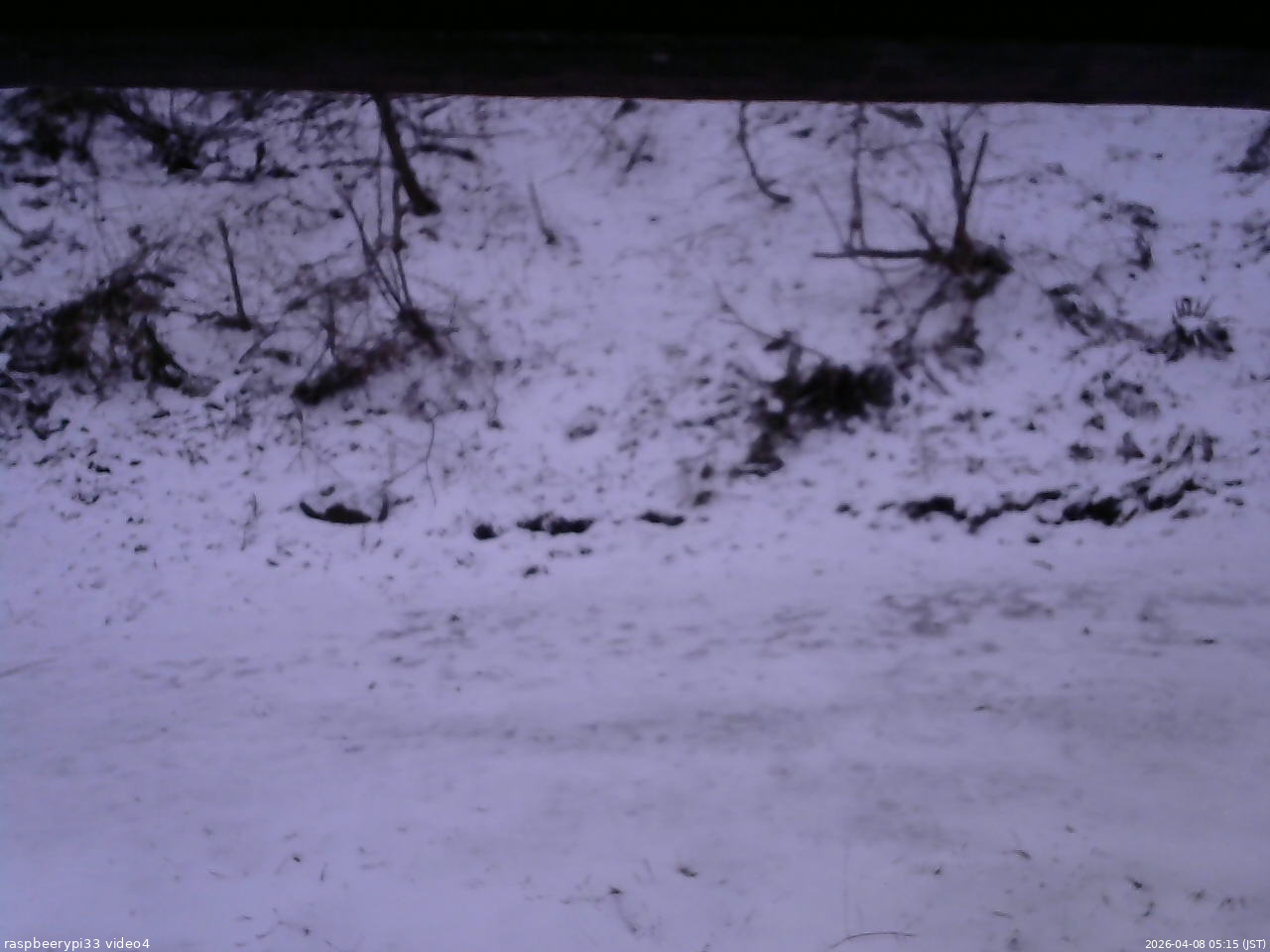 長野県菅平高原 ゆたか山荘 東側(坂下) 2026/04/08 05:15