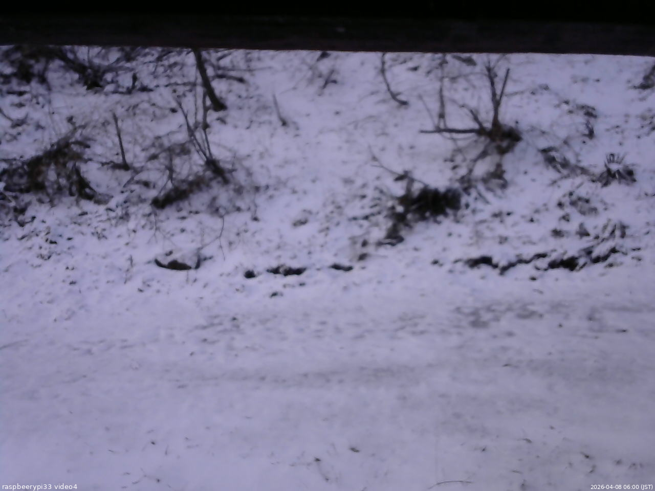 長野県菅平高原 ゆたか山荘 東側(坂下) 2026/04/08 06:00