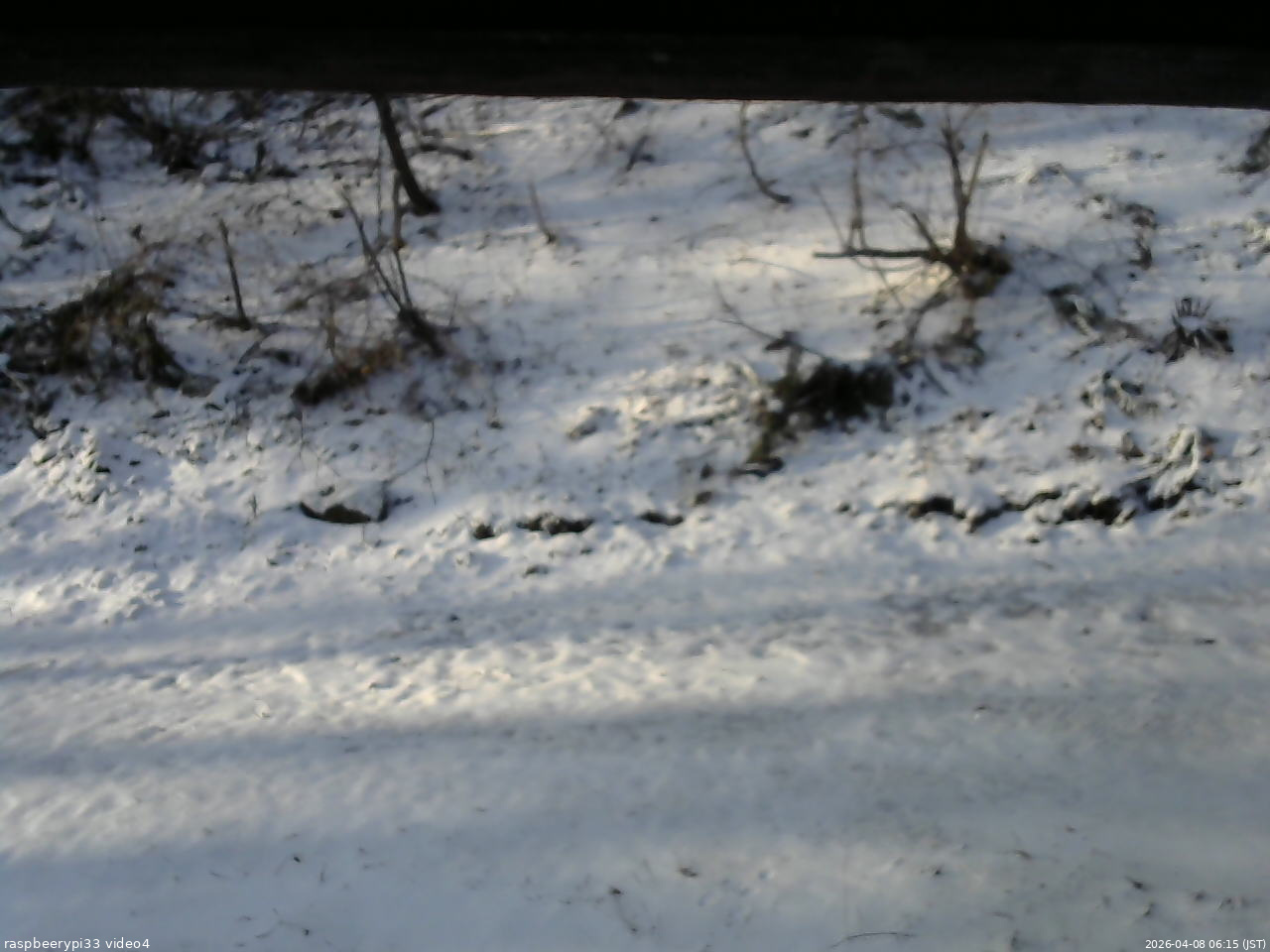 長野県菅平高原 ゆたか山荘 東側(坂下) 2026/04/08 06:15