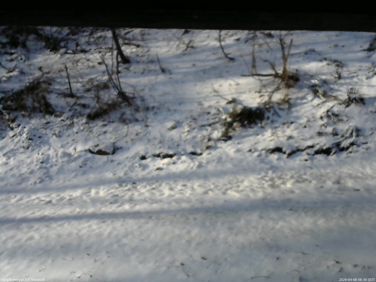 長野県菅平高原 ゆたか山荘 東側(坂下) 2026/04/08 06:30
