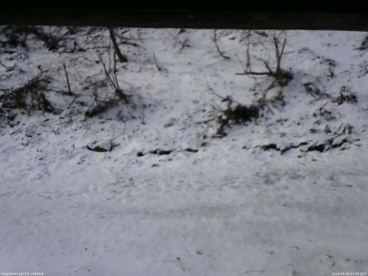 長野県菅平高原 ゆたか山荘 東側(坂下) 2026/04/08 07:00