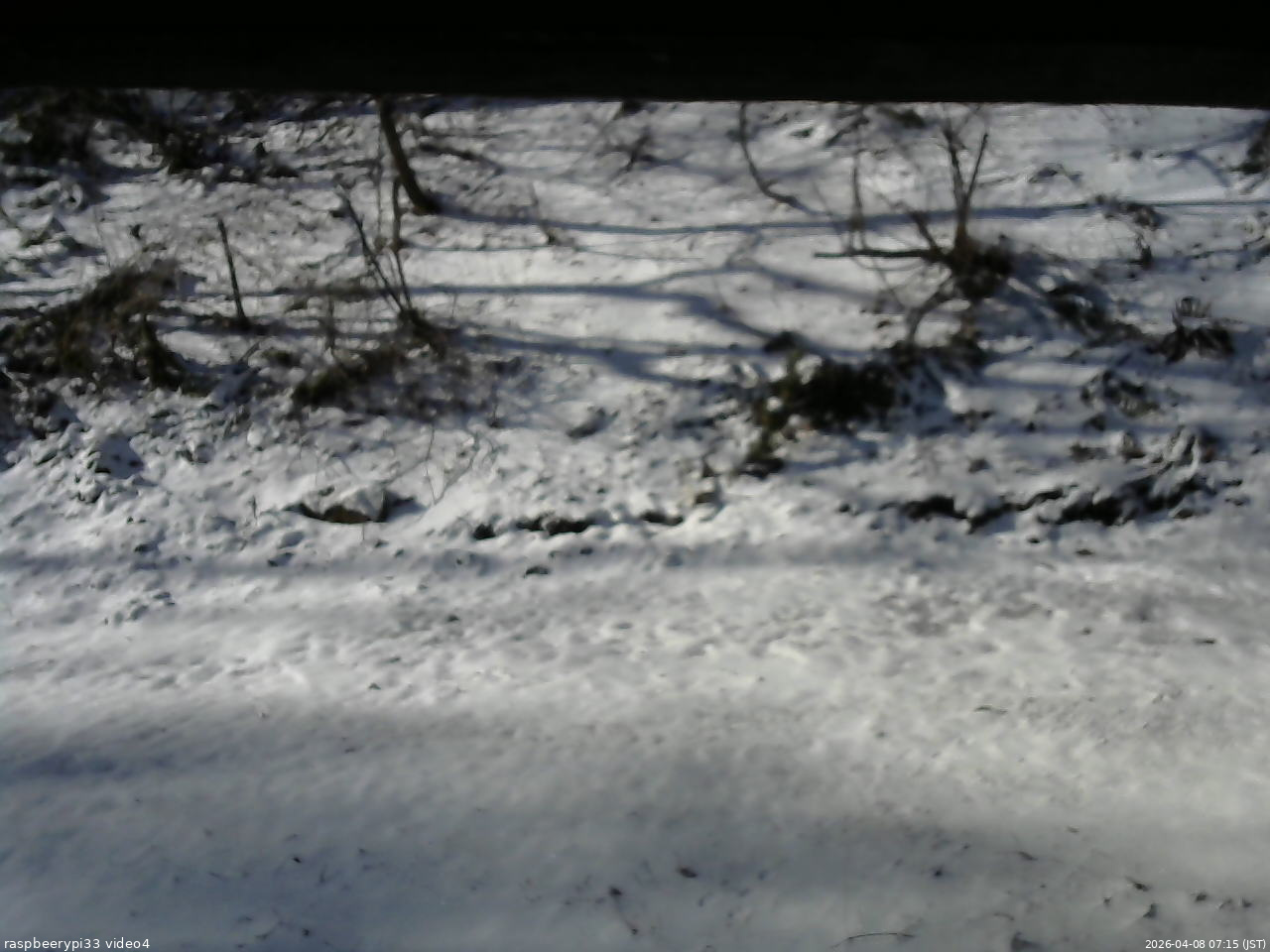 長野県菅平高原 ゆたか山荘 東側(坂下) 2026/04/08 07:15