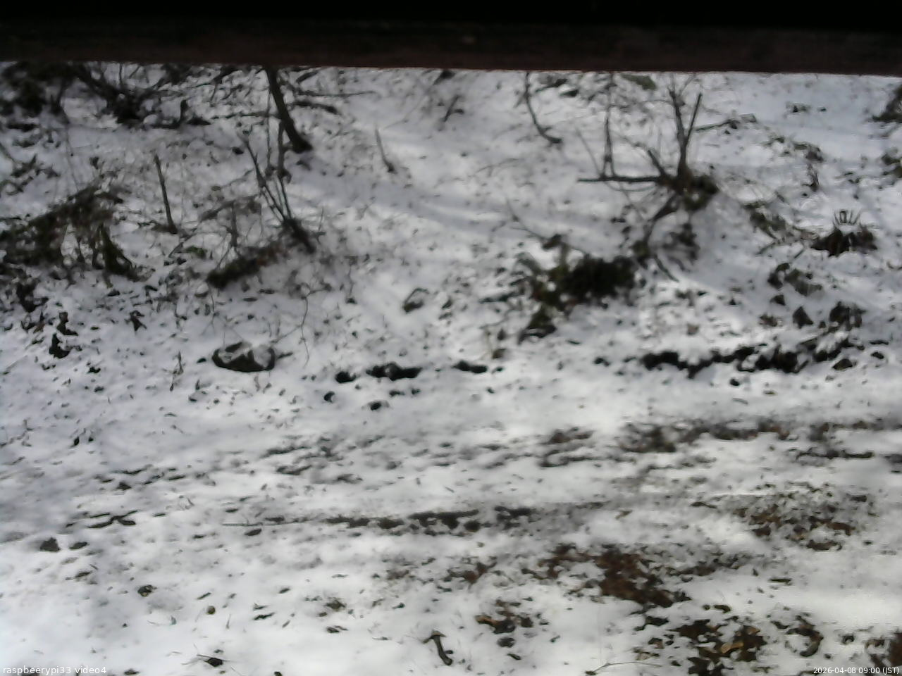 長野県菅平高原 ゆたか山荘 東側(坂下) 2026/04/08 09:00