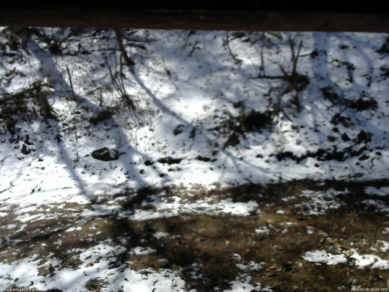 長野県菅平高原 ゆたか山荘 東側(坂下) 2026/04/08 10:00