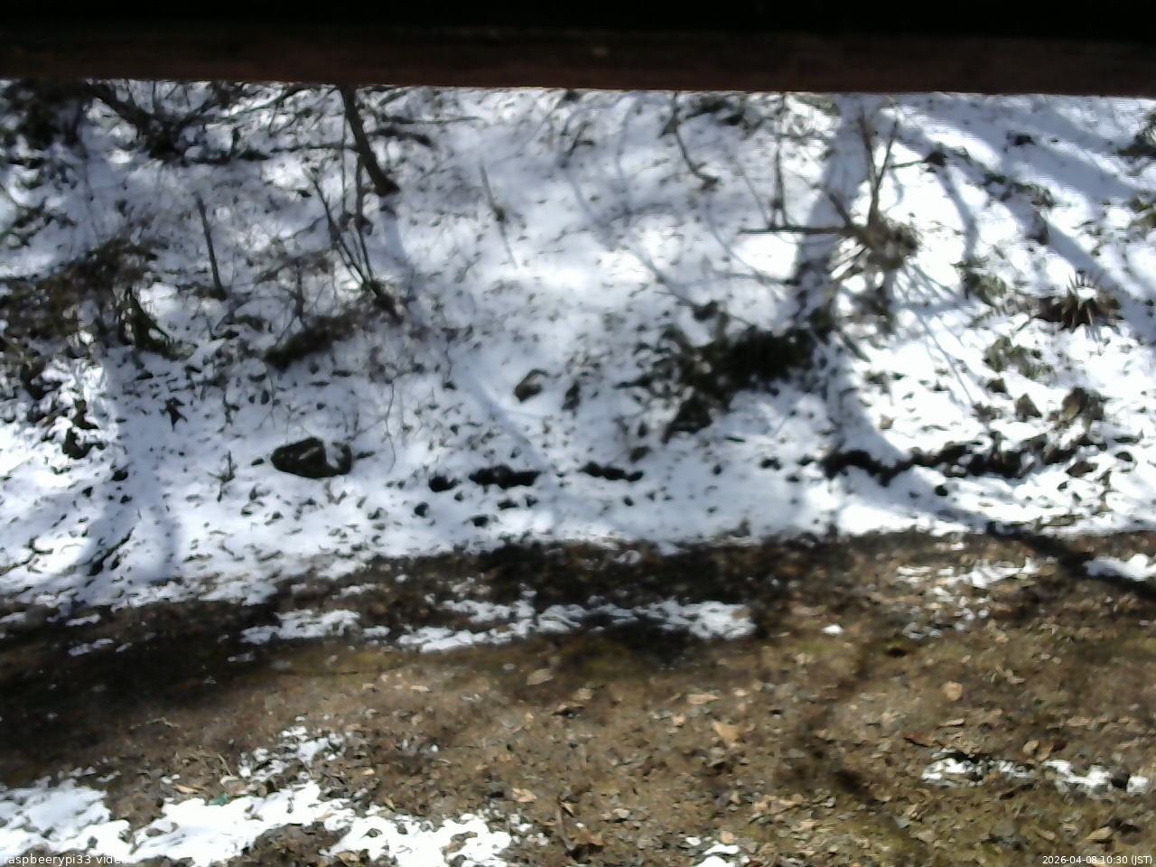 長野県菅平高原 ゆたか山荘 東側(坂下) 2026/04/08 10:30