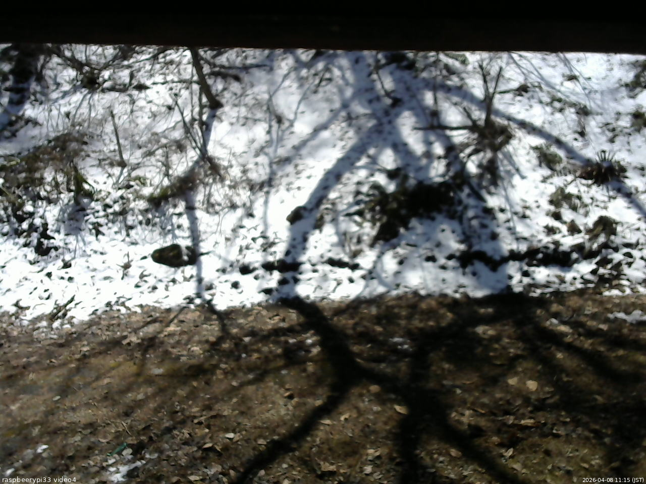 長野県菅平高原 ゆたか山荘 東側(坂下) 2026/04/08 11:15