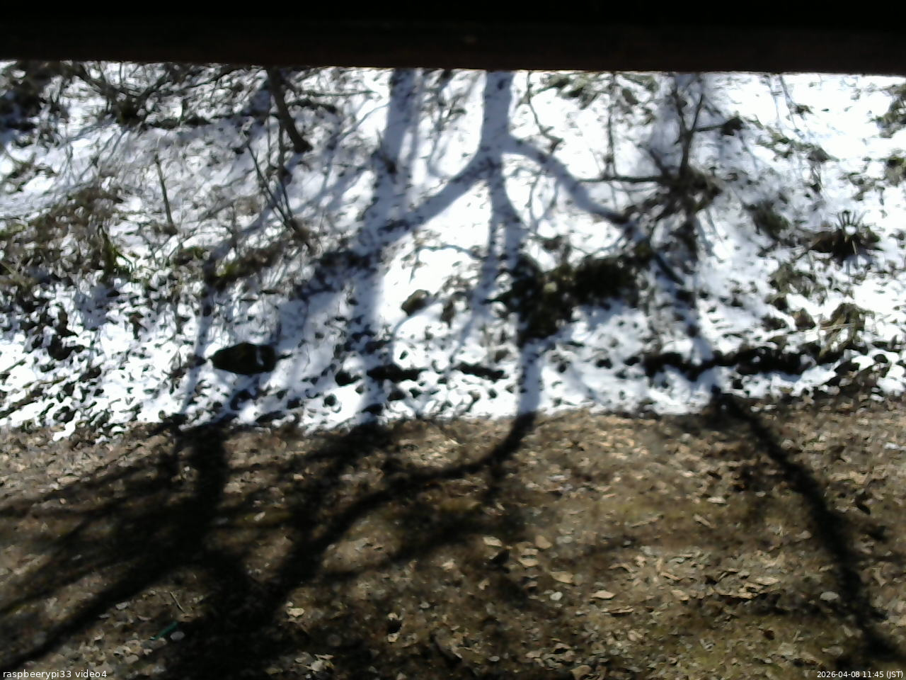 長野県菅平高原 ゆたか山荘 東側(坂下) 2026/04/08 11:45