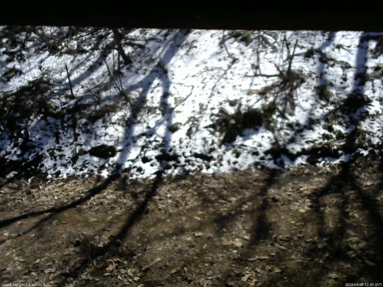 長野県菅平高原 ゆたか山荘 東側(坂下) 2026/04/08 12:30