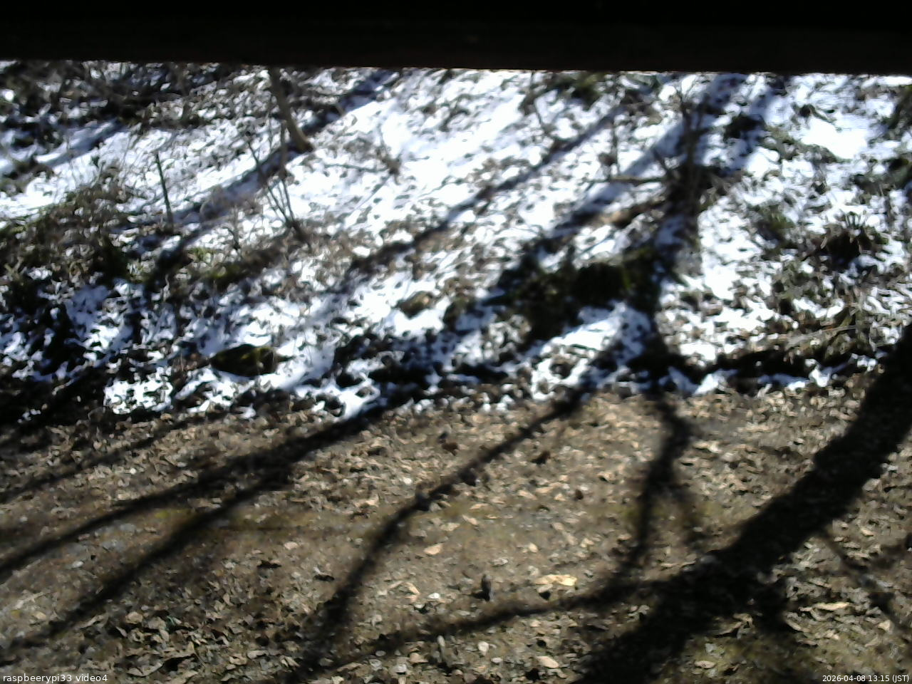 長野県菅平高原 ゆたか山荘 東側(坂下) 2026/04/08 13:15