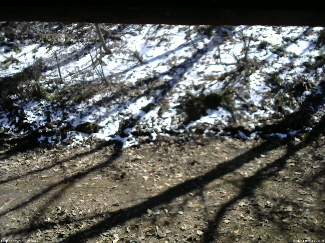 長野県菅平高原 ゆたか山荘 東側(坂下) 2026/04/08 13:45